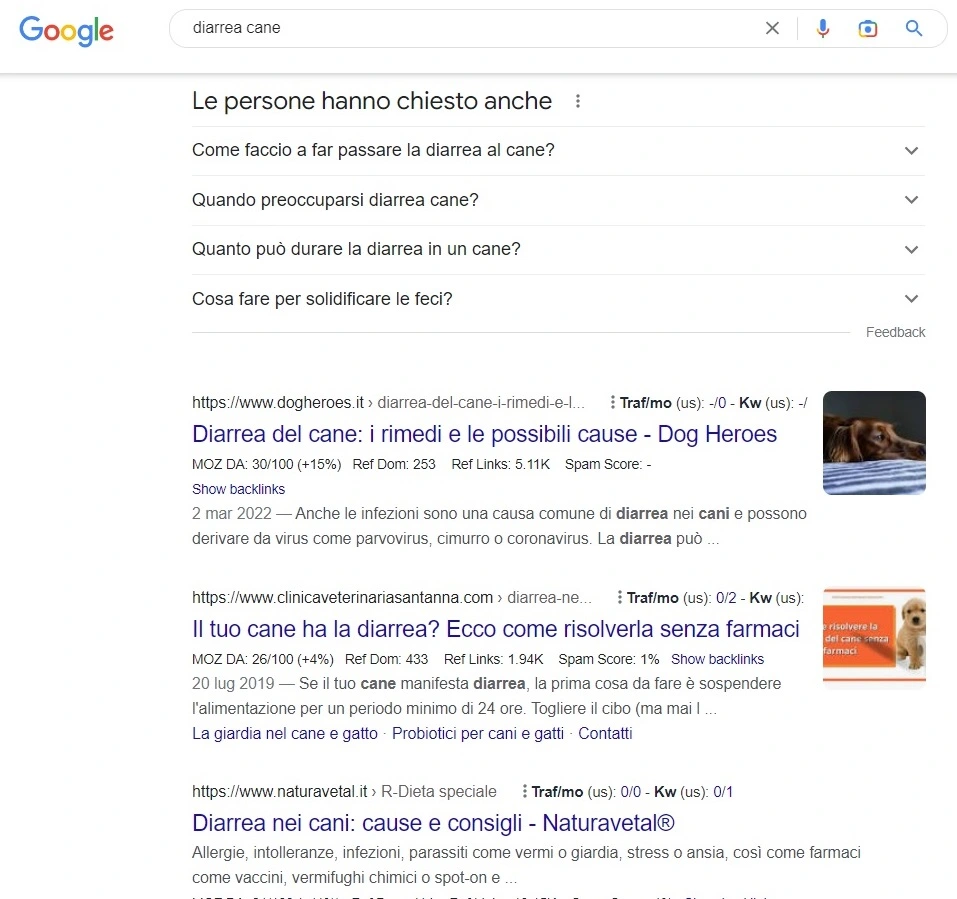 risultato google ricerca "diarrea cane"